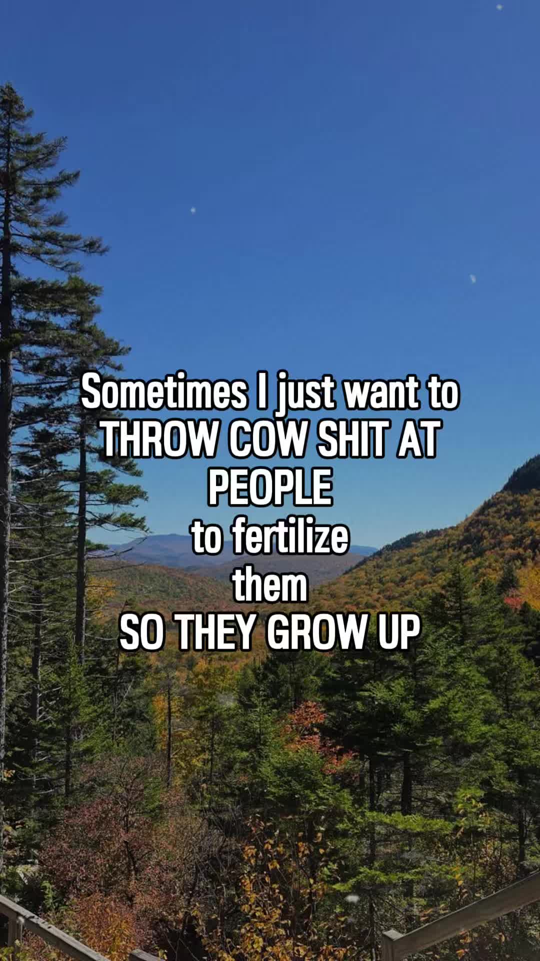@Quotes.Memes.Queen