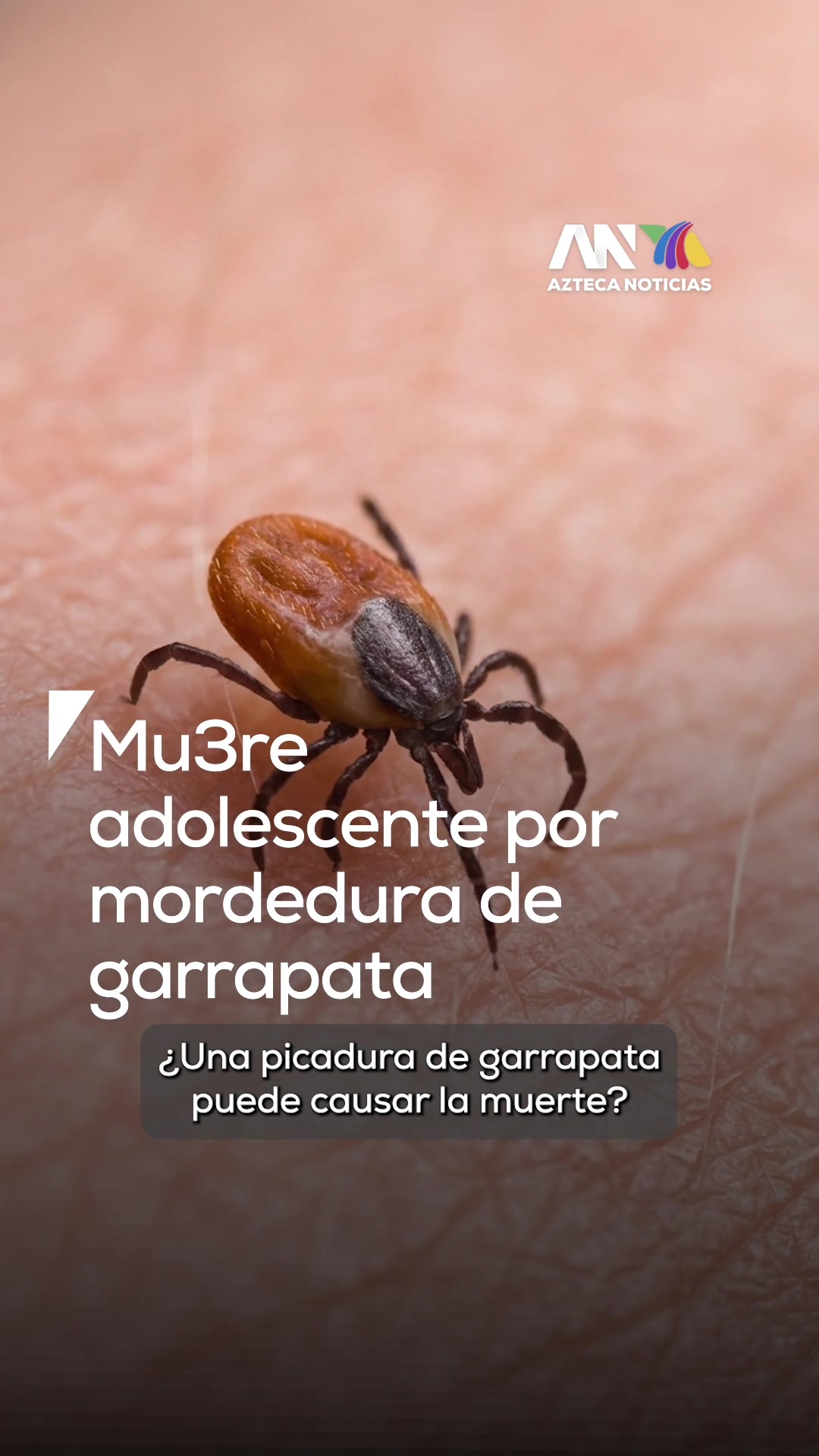 @Azteca Noticias