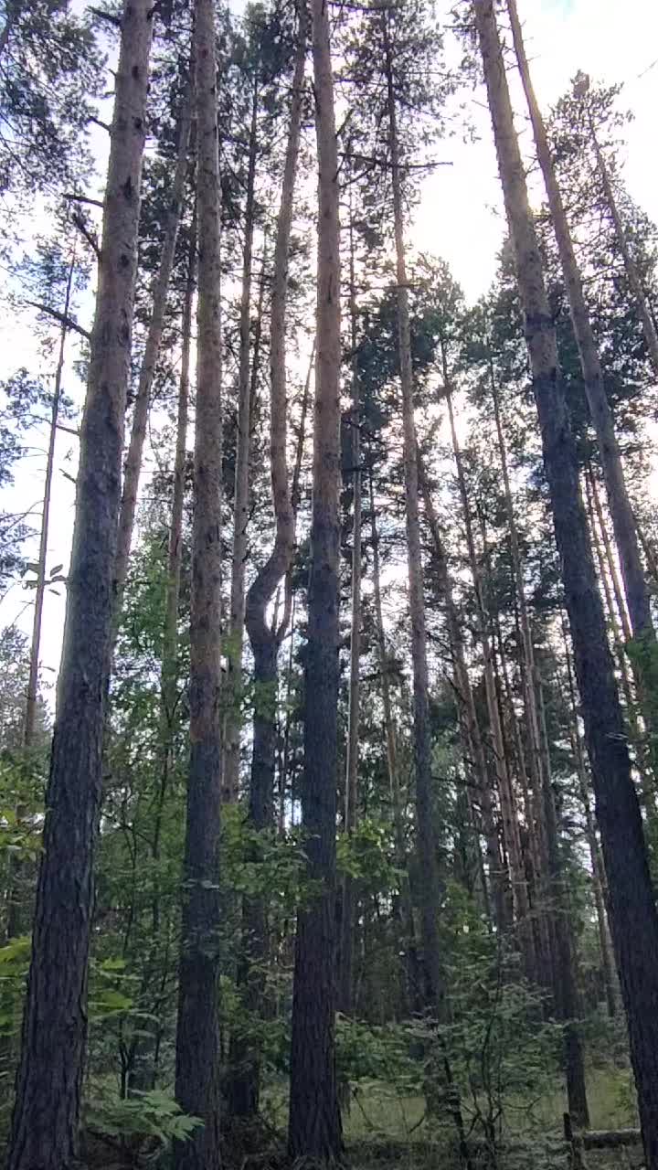 @Сергей Гнётов