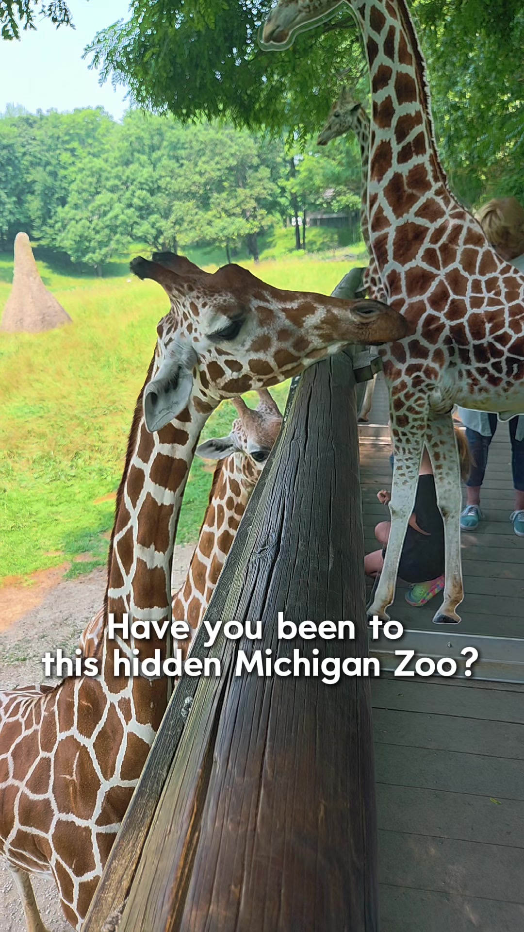 @LittleGuide Detroit