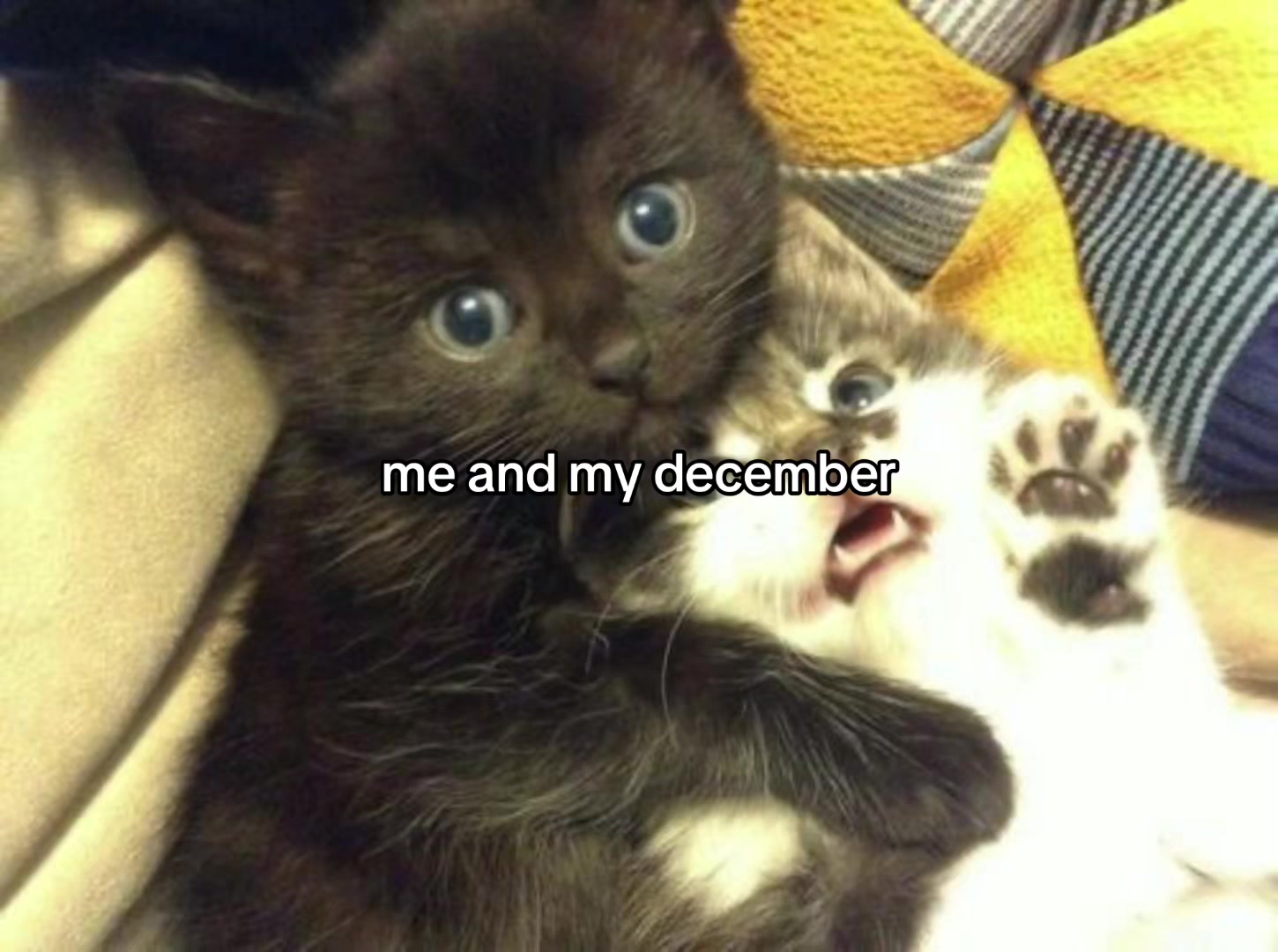 @wzxdhdv