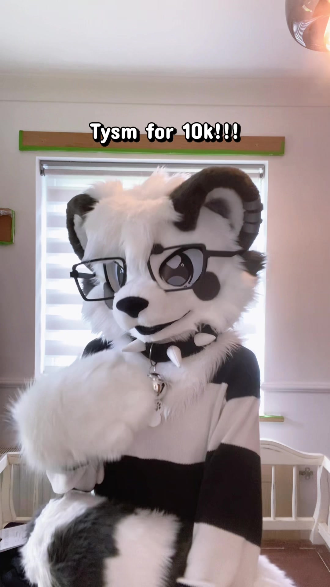 @🎬Lykoi🐾