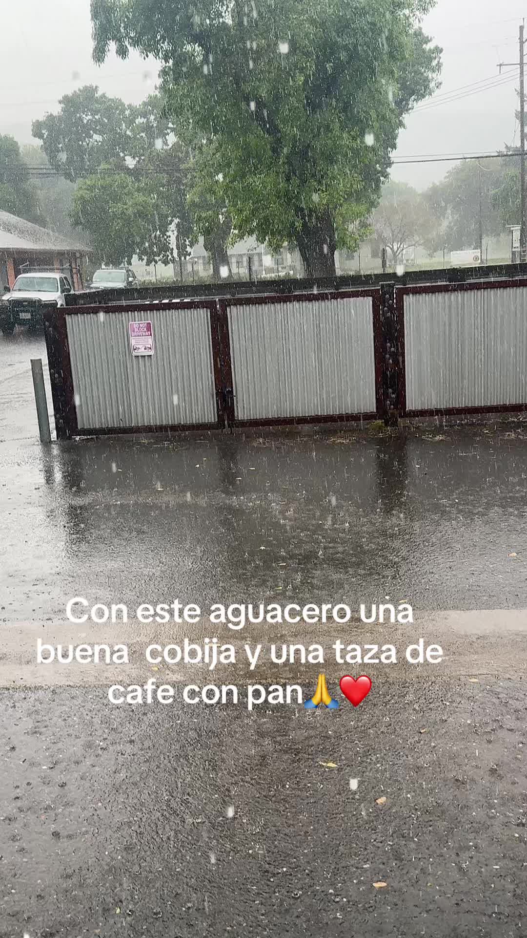@Palmis