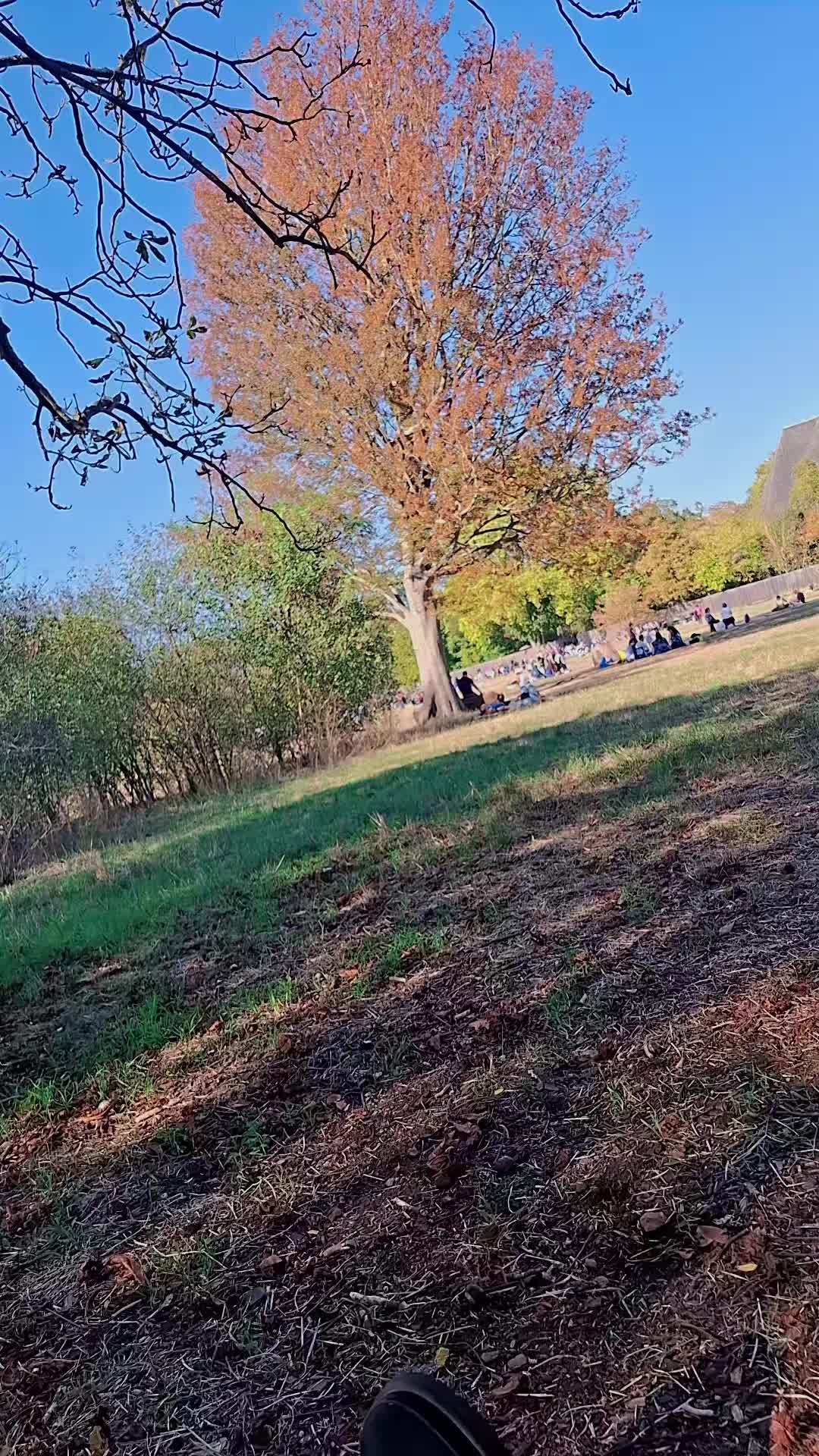 @ⵣ KABYLE DE FRANCE ⵣ