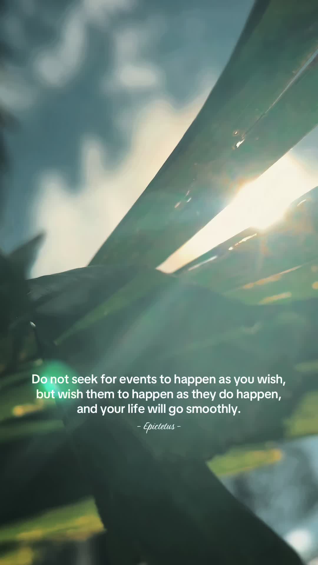 @auntypositivity