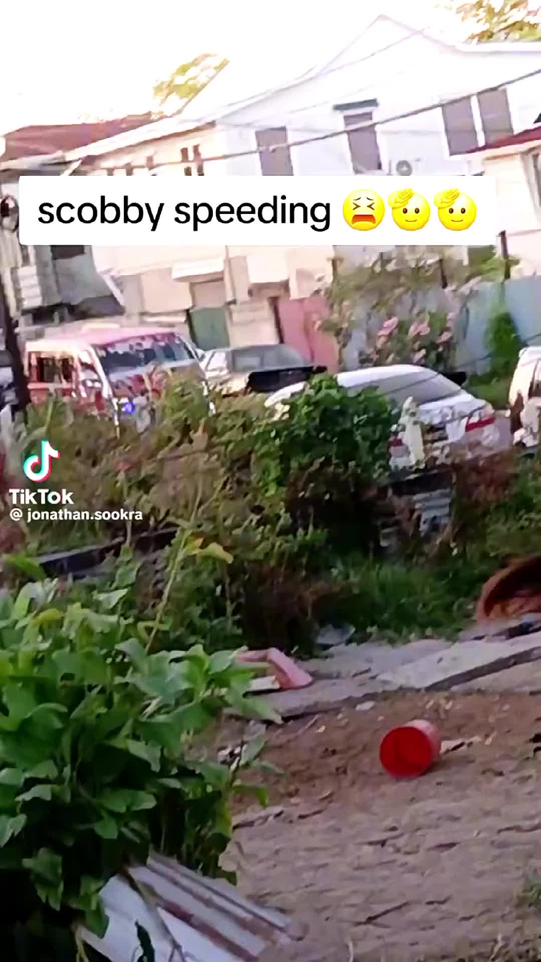 @videsh