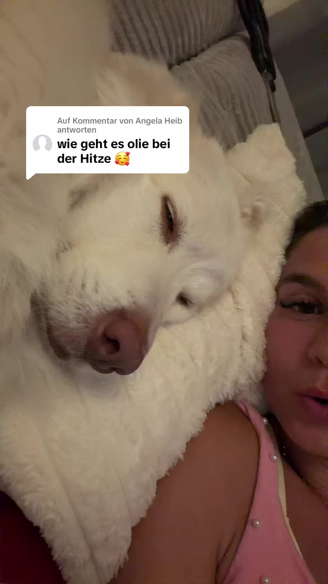 @🧚&zwj;♀️fraulein_flausenimkopf✨