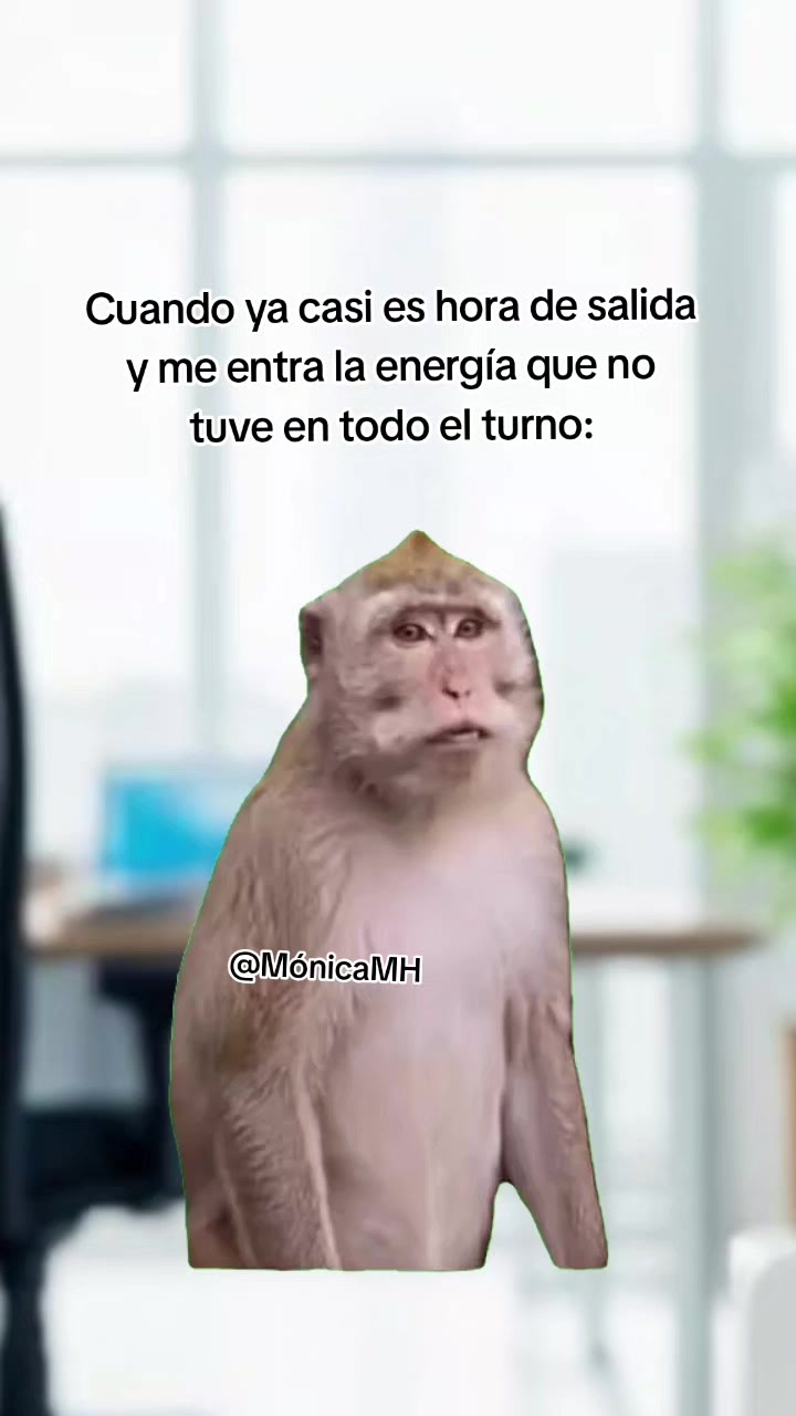 @Mónica MH