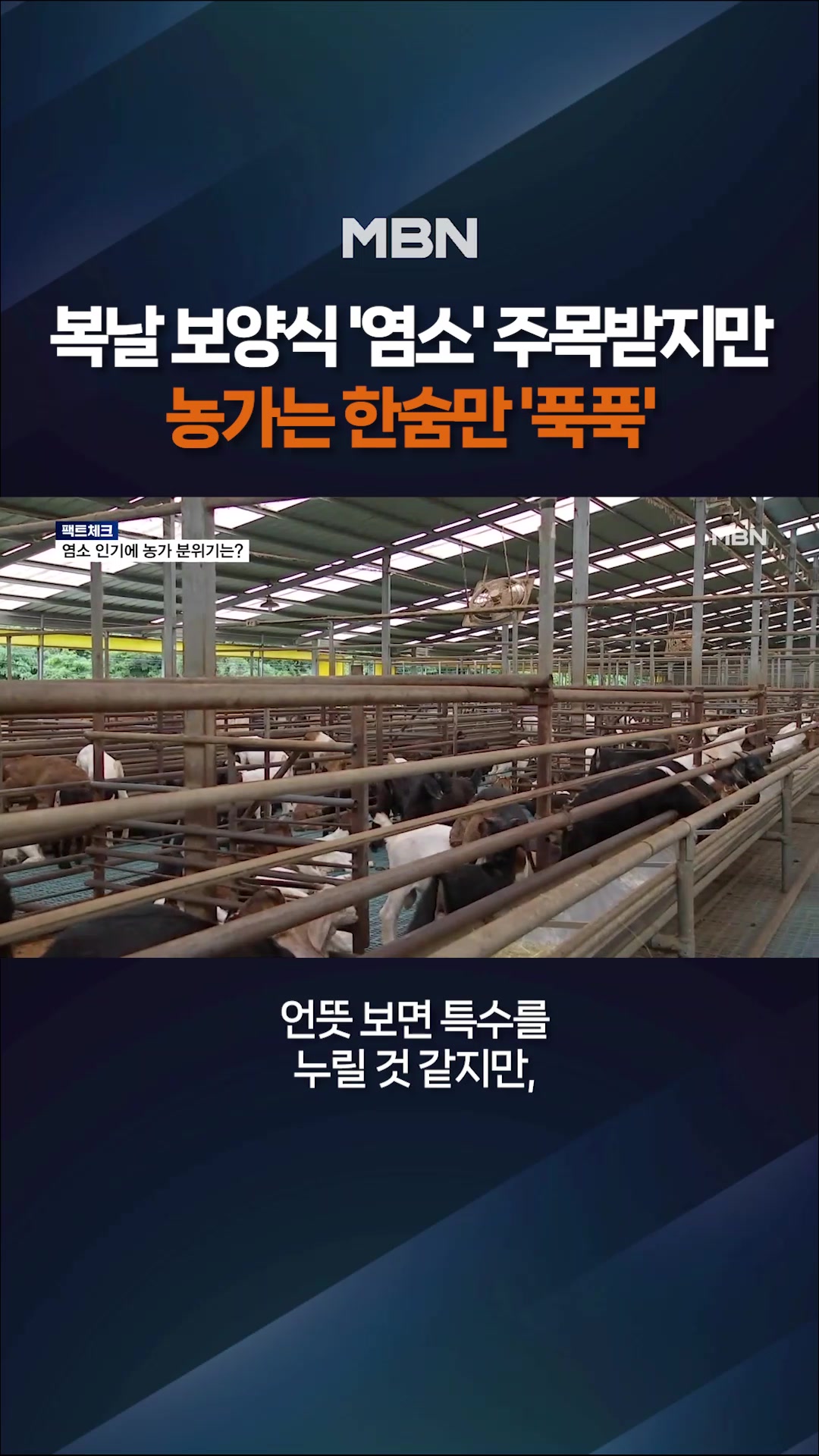 @MBN NEWS