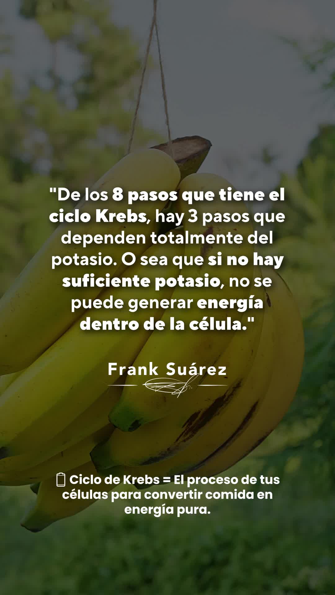 @Frank Su&aacute;rez de MetabolismoTV