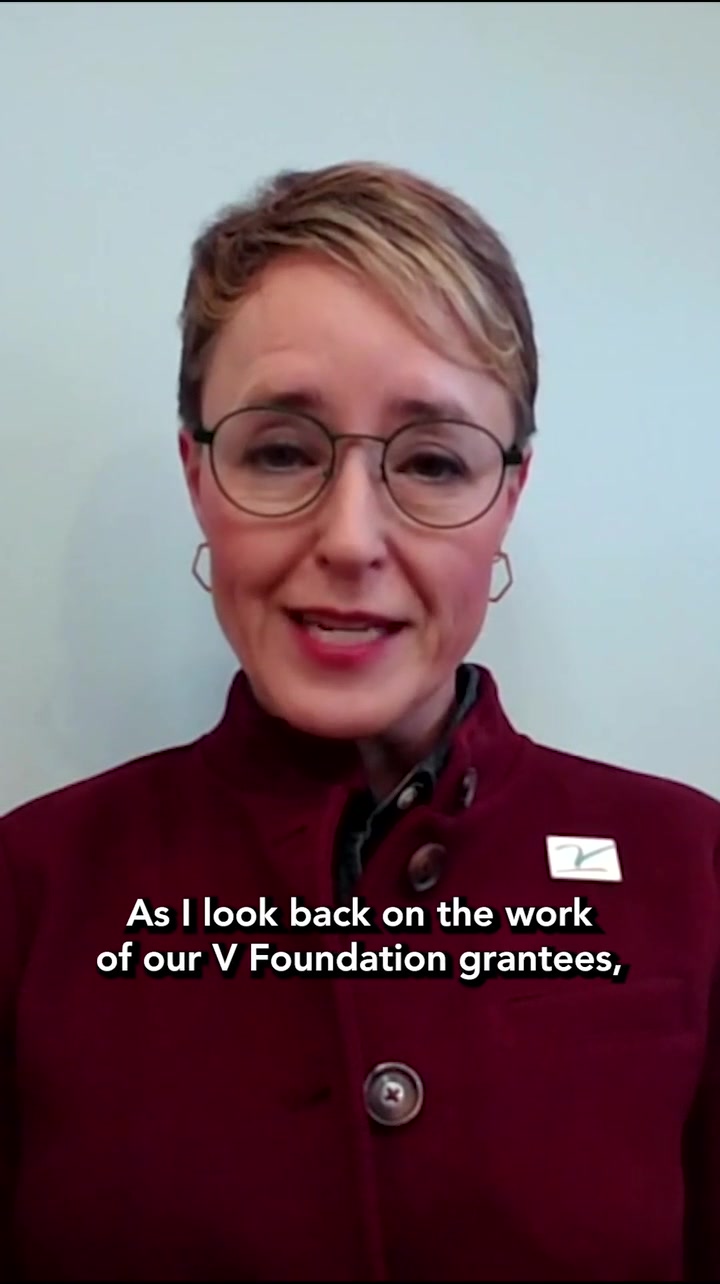 @thevfoundation