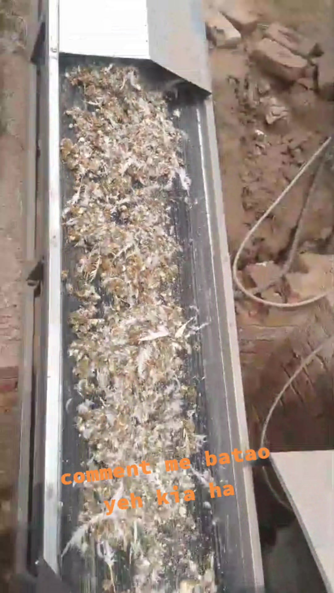 @⚔️عبدالرحمن مغل 🚭 💯