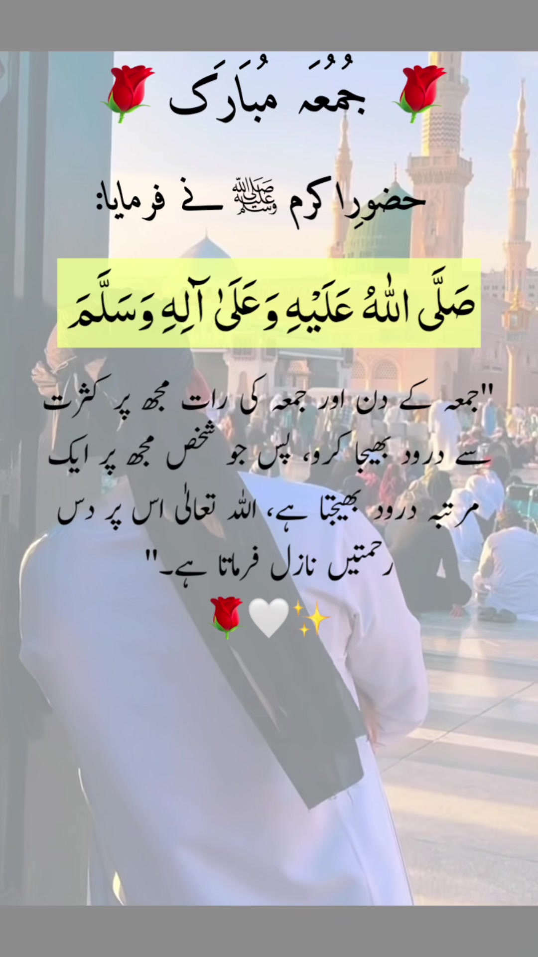 @noor