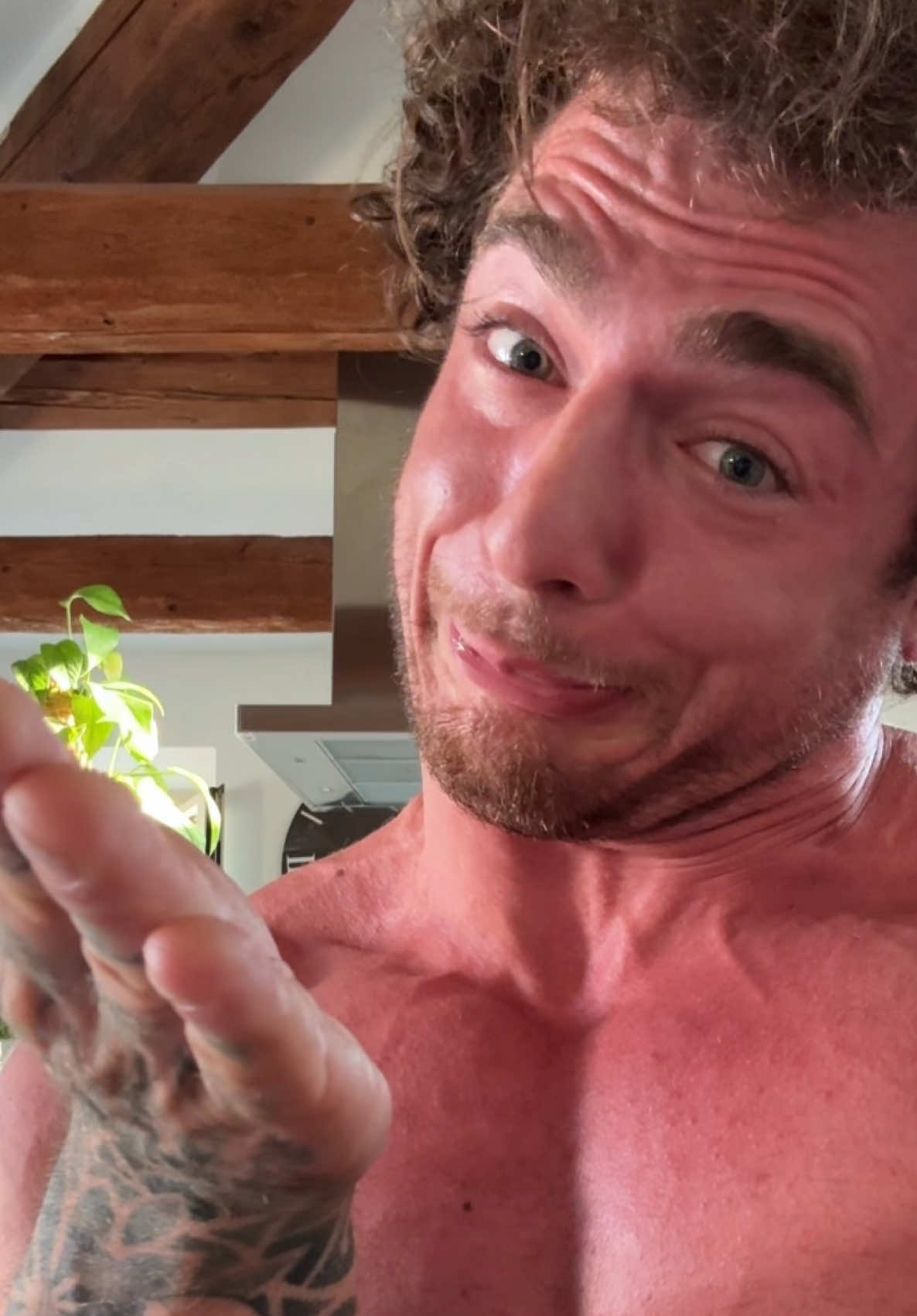 @leospollii
