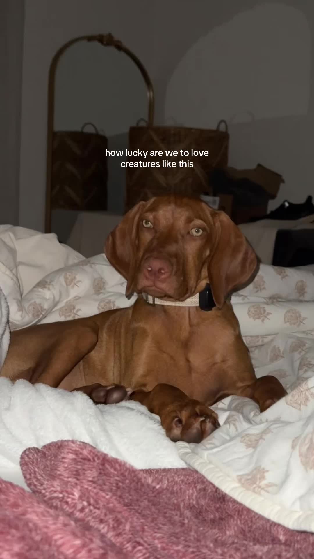 @B R I S T O N