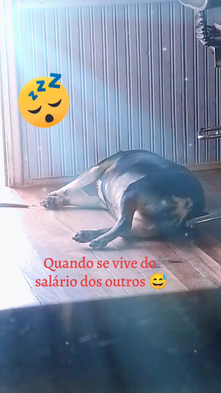 @NegaMica💋