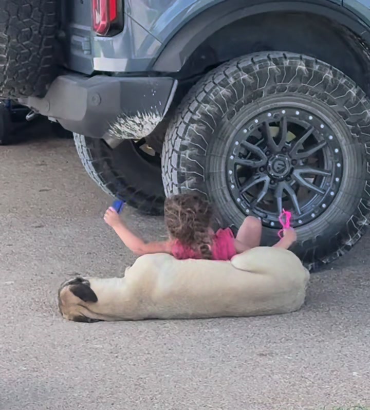 @HagamanHerd
