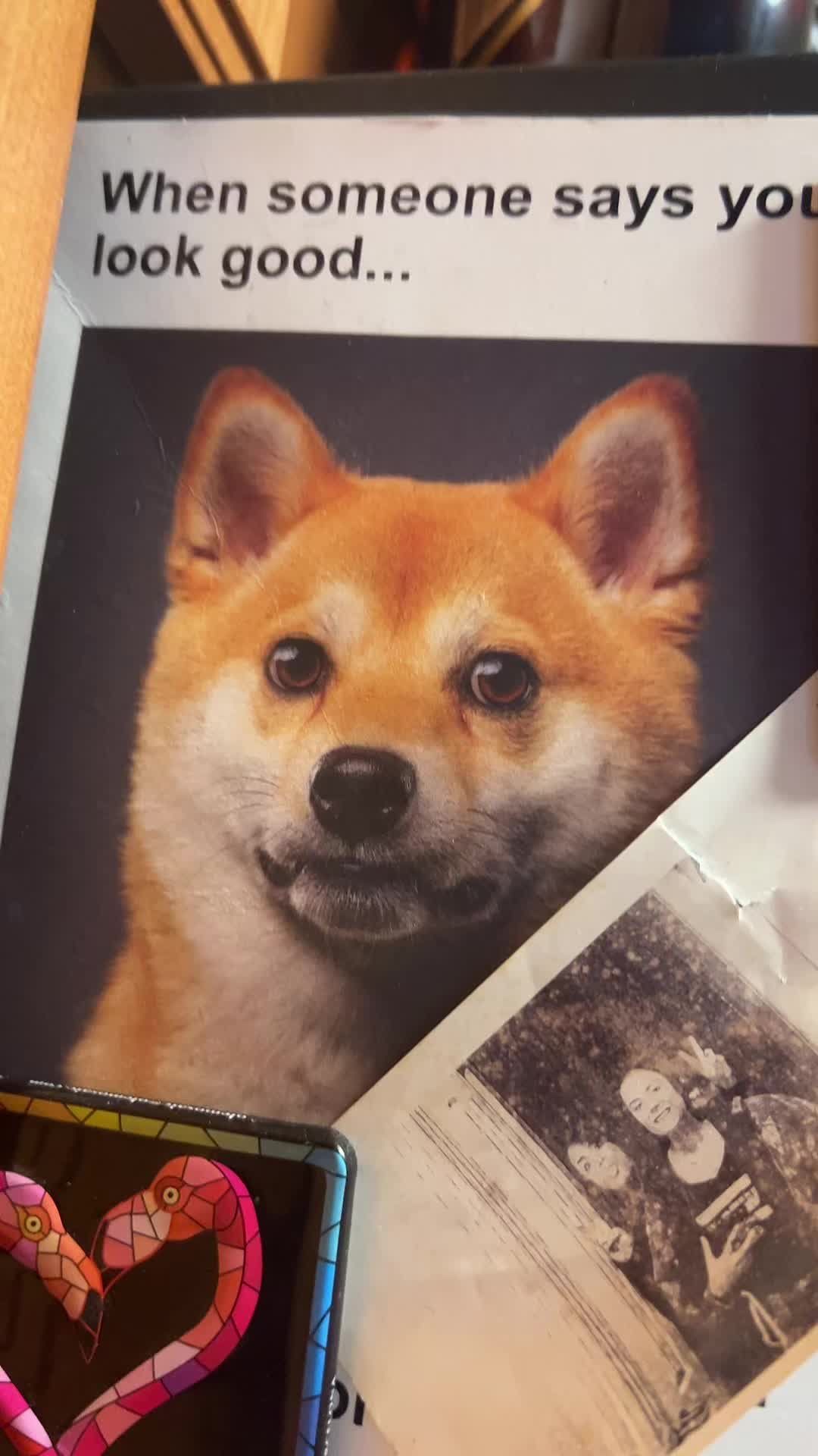 @mimi