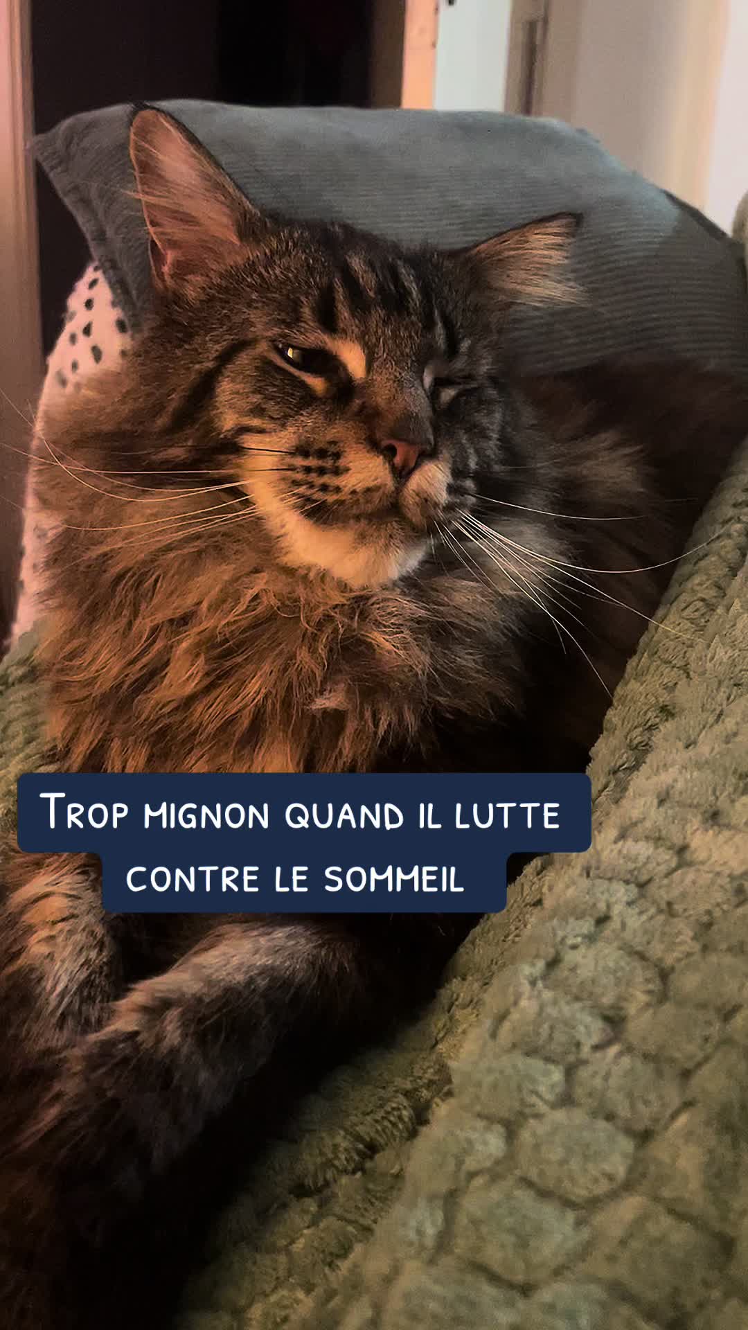 @lindase19