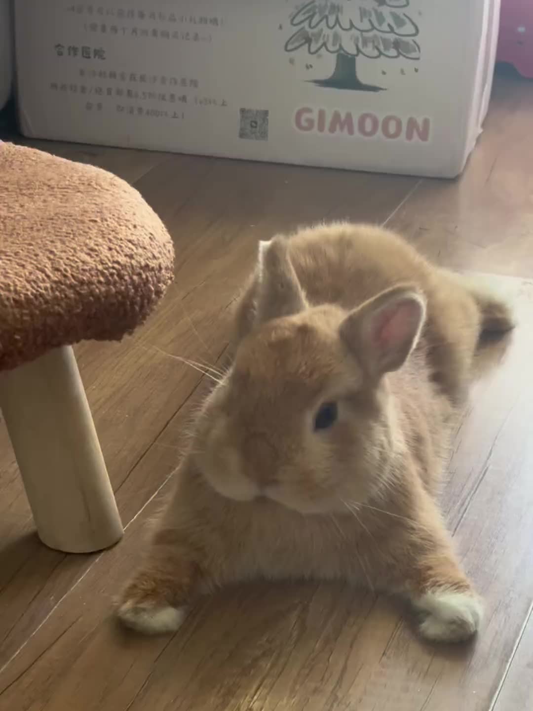 @RabbitBall
