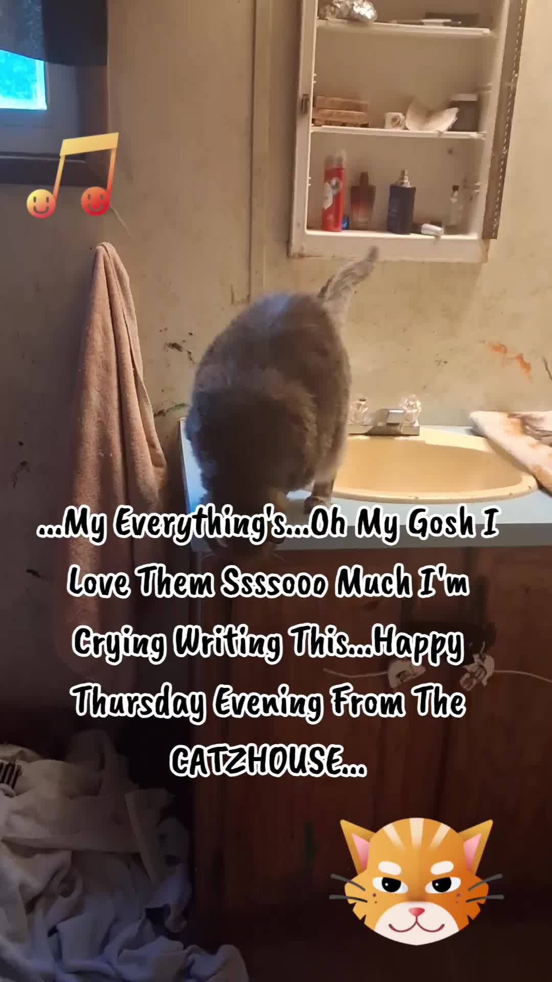 @Booh Hovey crazycatlady3