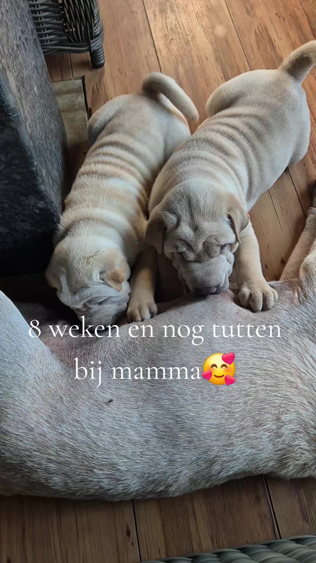 @Wendy Aarts