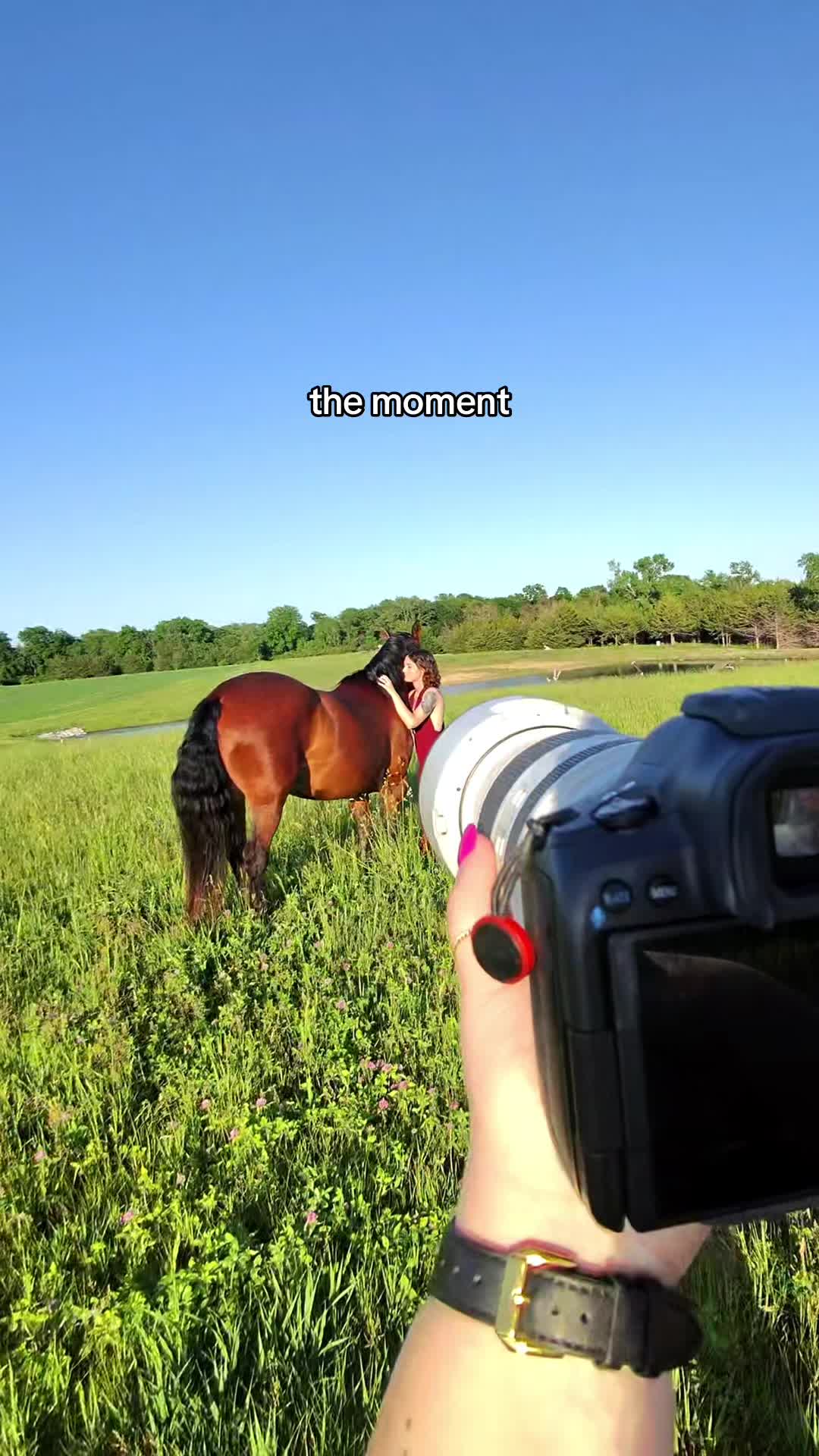 @Tisha 📸🦄 Equestrian&ensp;Photog