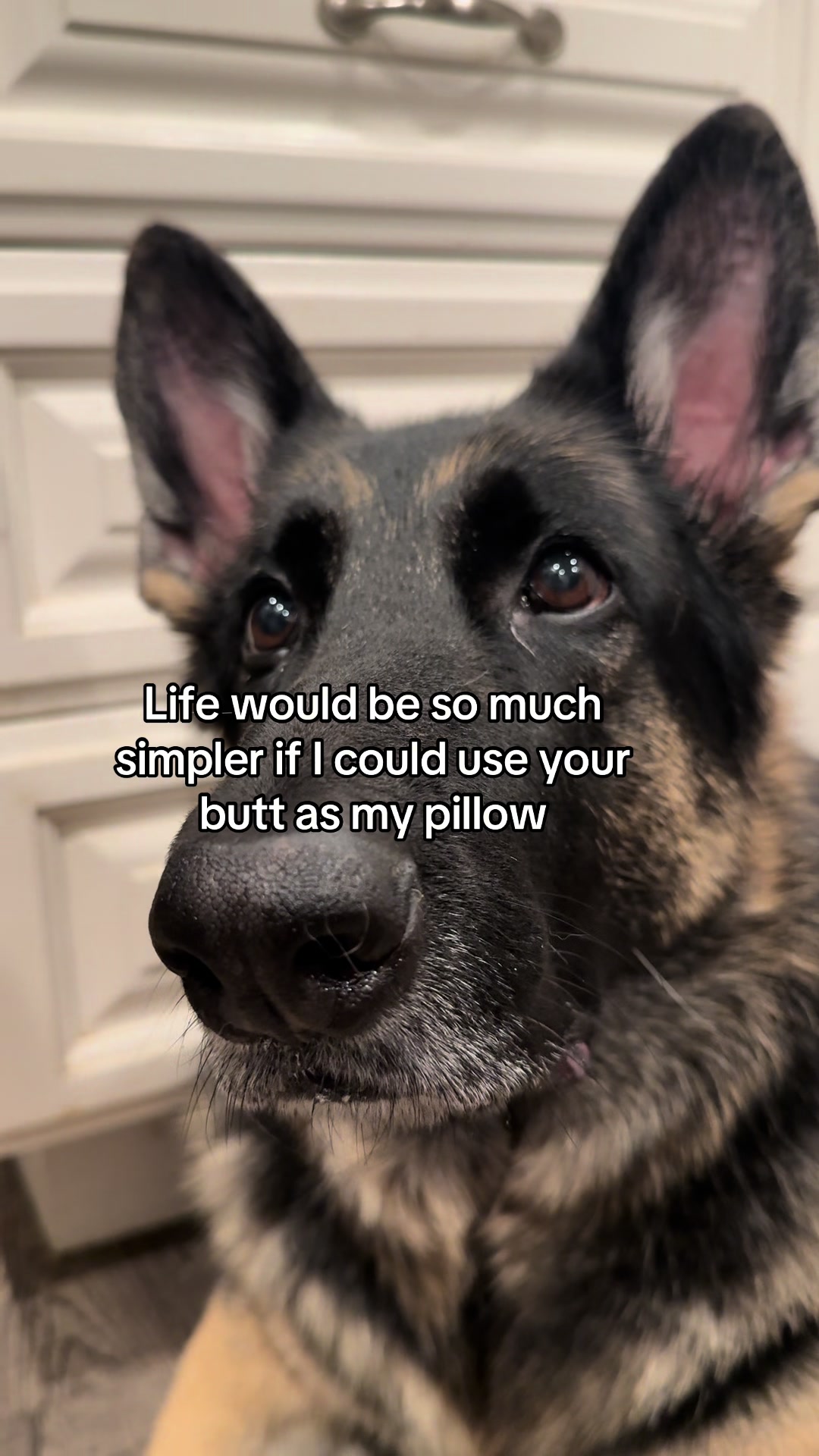 @Bhris