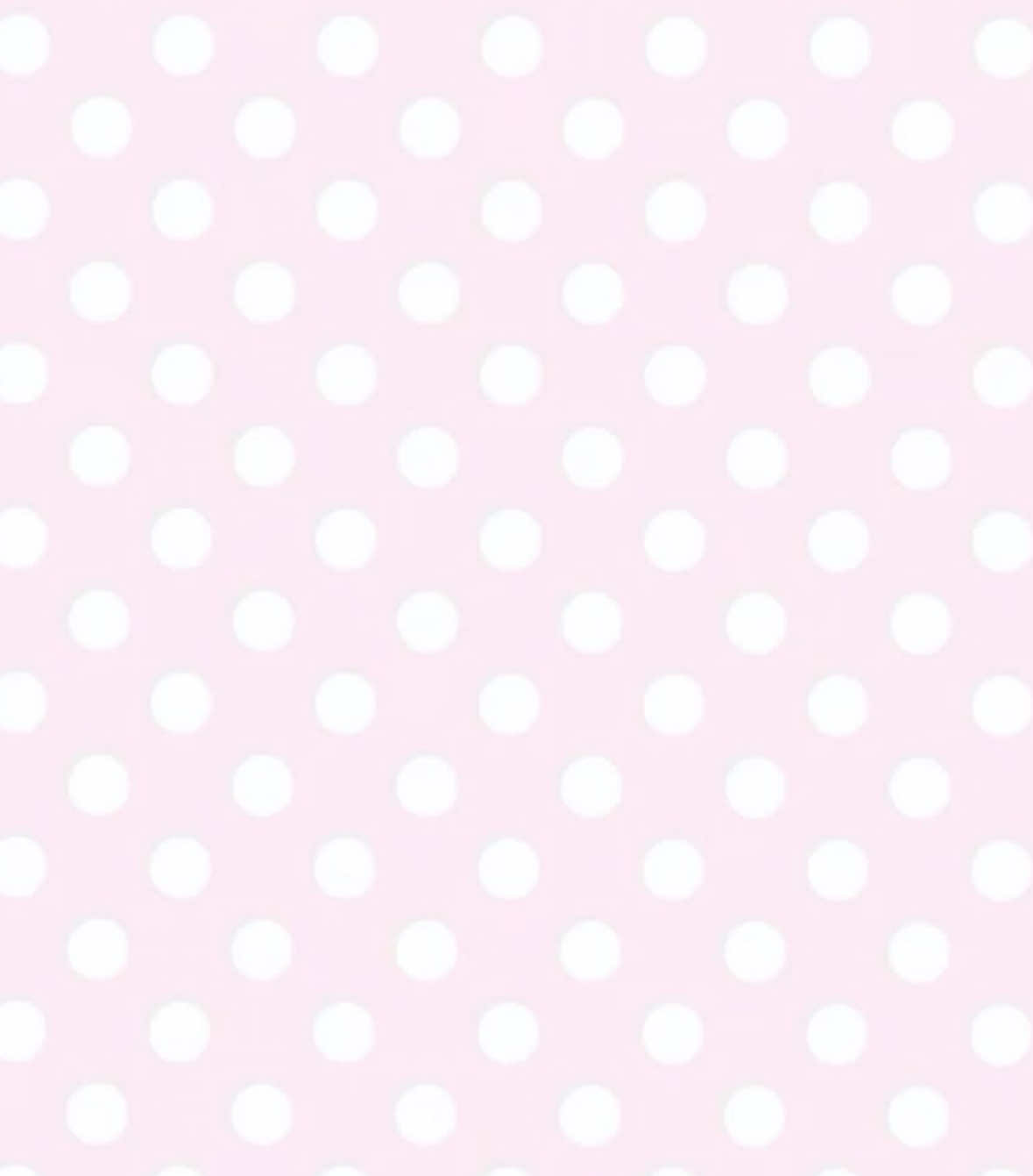@꒰ঌ໒꒱ ˚₊ ℳ𝒾𝓈ℴ ₊˚🪽ෆ