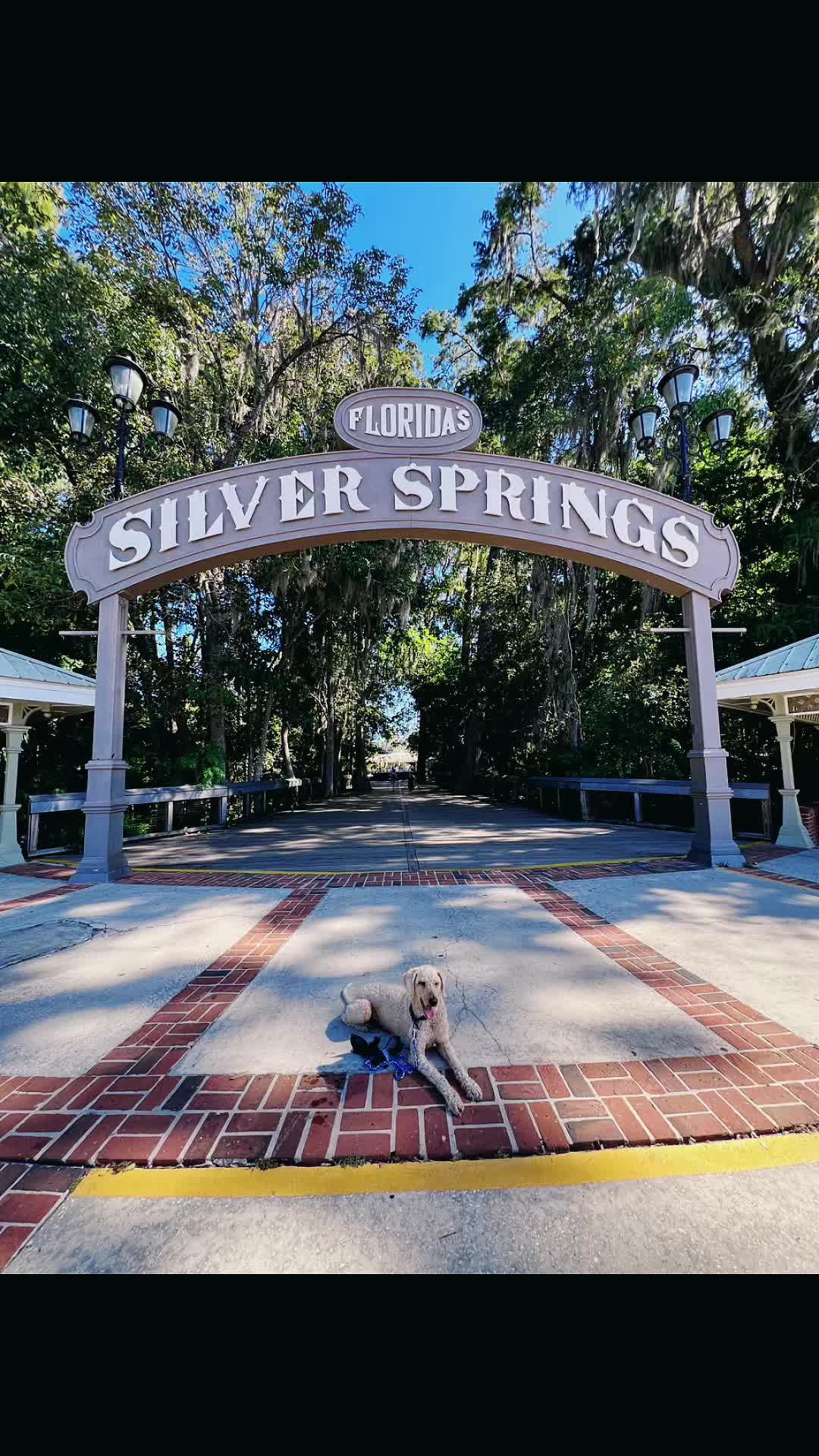 @Florida_Girl_Exploring