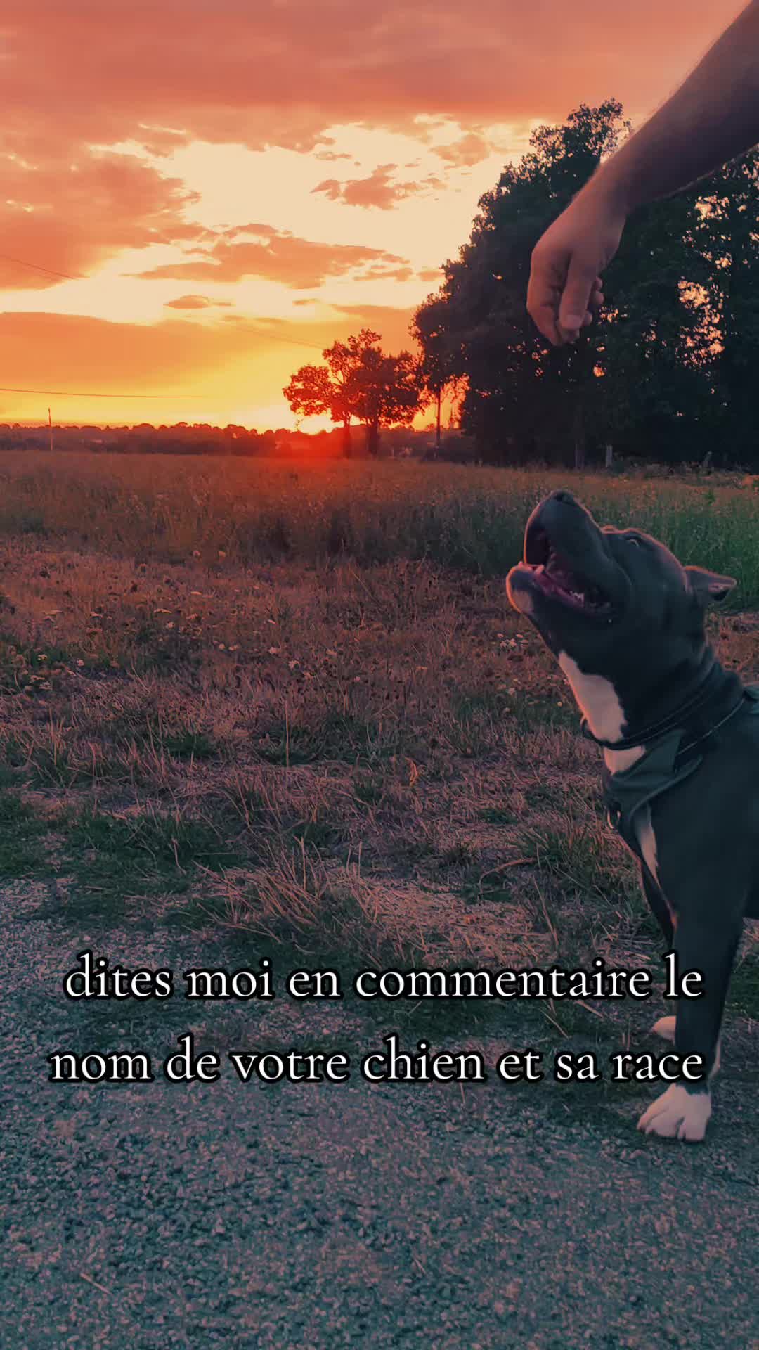 @Asko amstaff