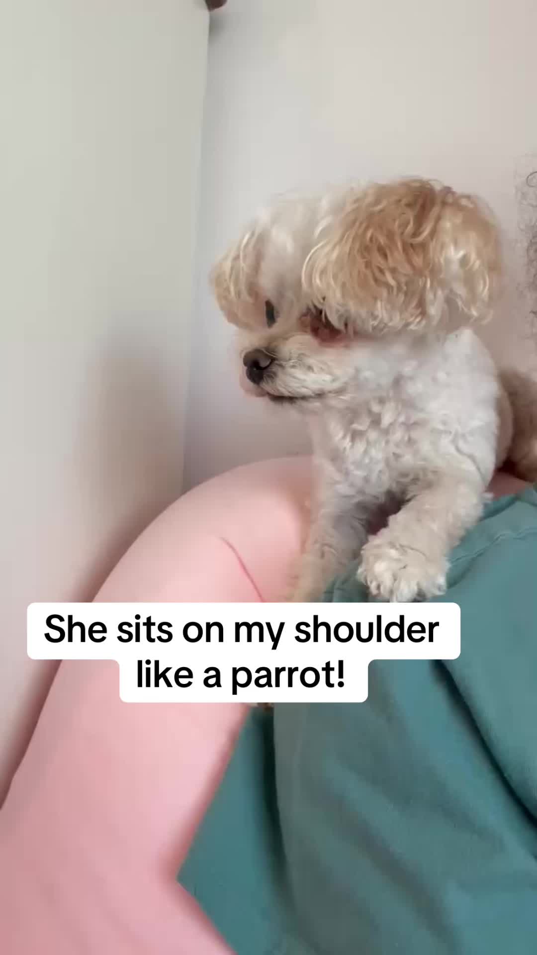 @LilFitPrincess