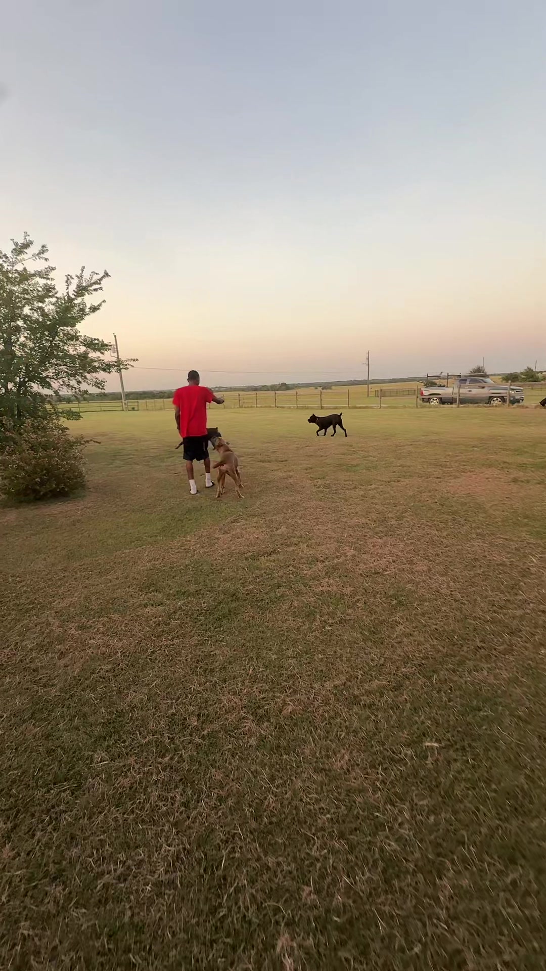 @AandMCaneCorsos