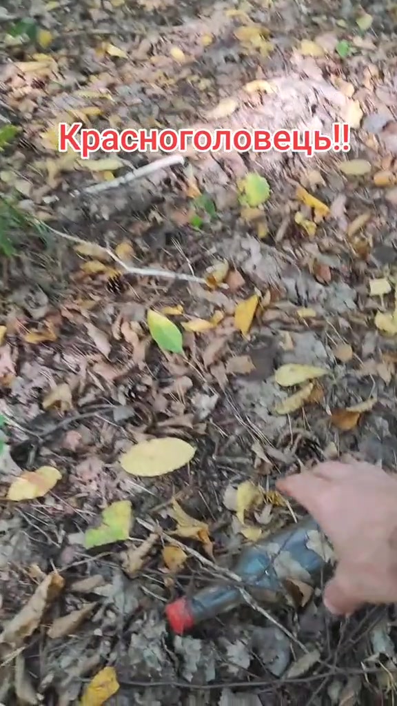 @Смішно з Бодяном😁