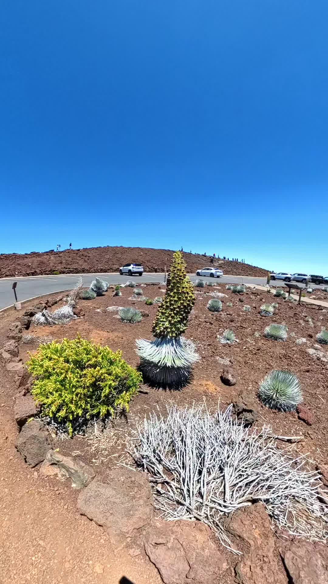 @Hike Maui