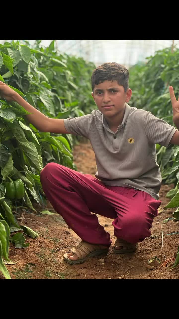 @موسى بلوشي