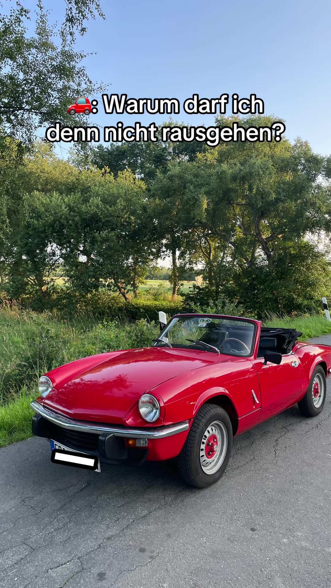 @flipsegeiss