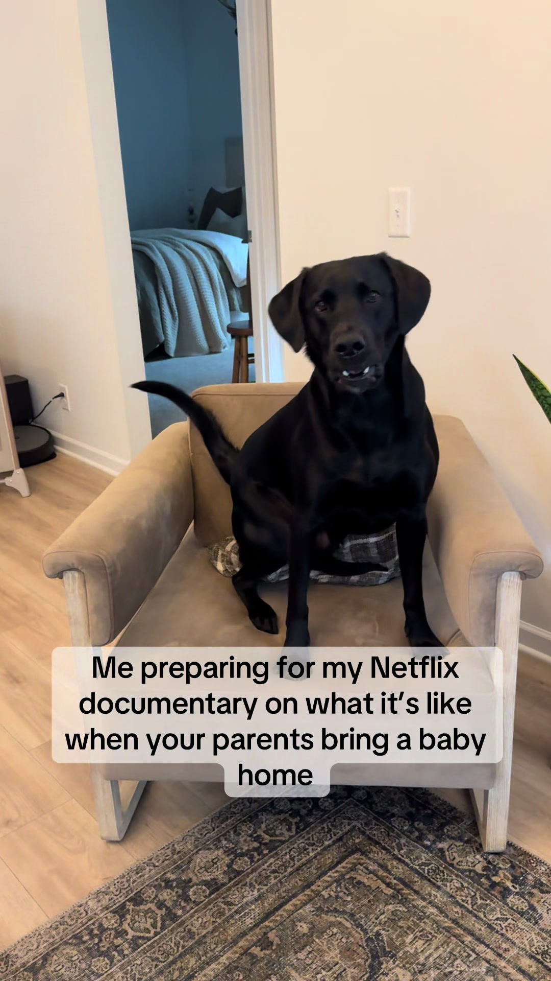 @ghostblacklab