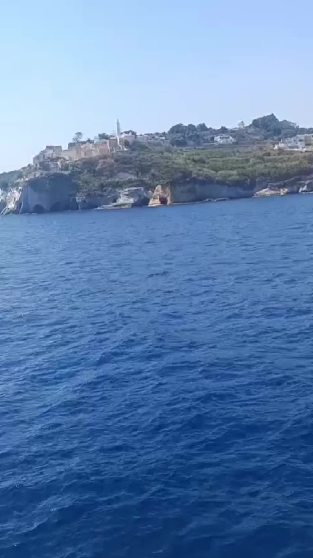 @Anca Simon