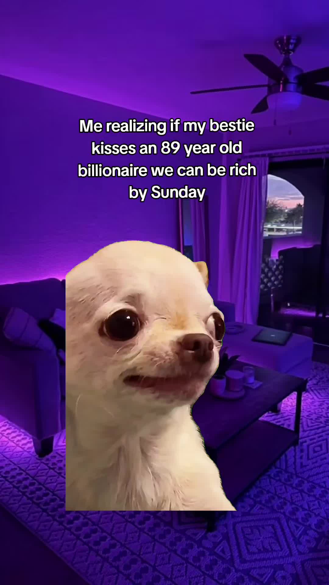 @Julie 👑