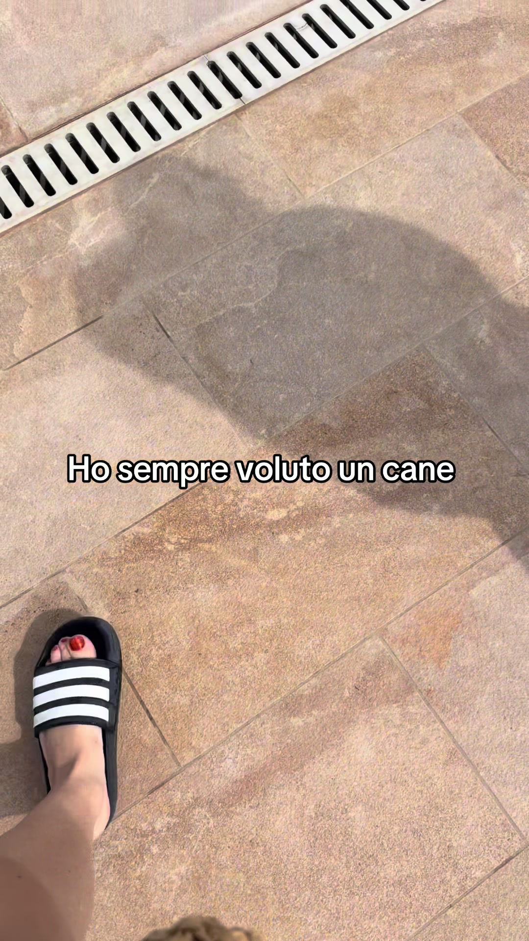 @FUOCO__AFRODITE