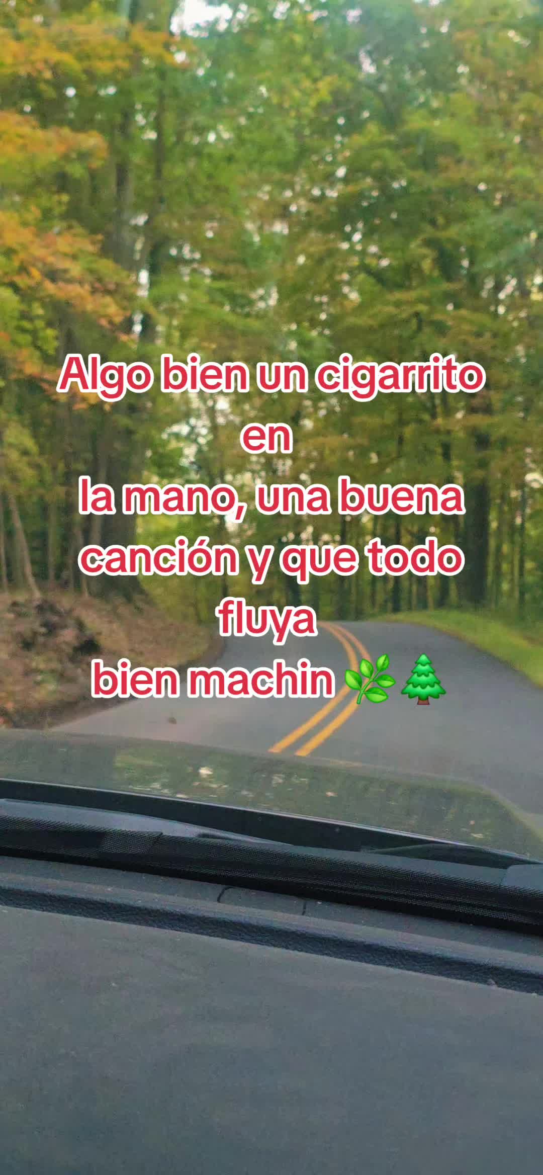 @tiocito🥸