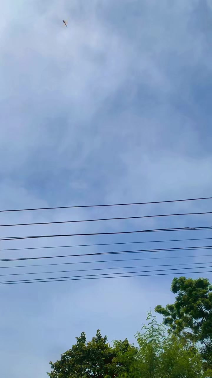 @Rosani Kancha