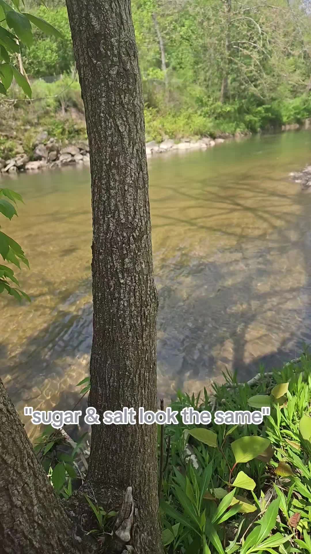 @cuntwater💦😜