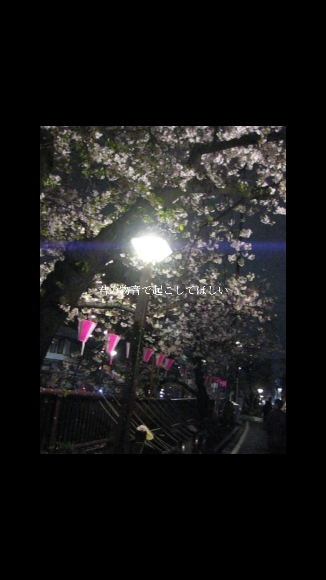 @北野りお