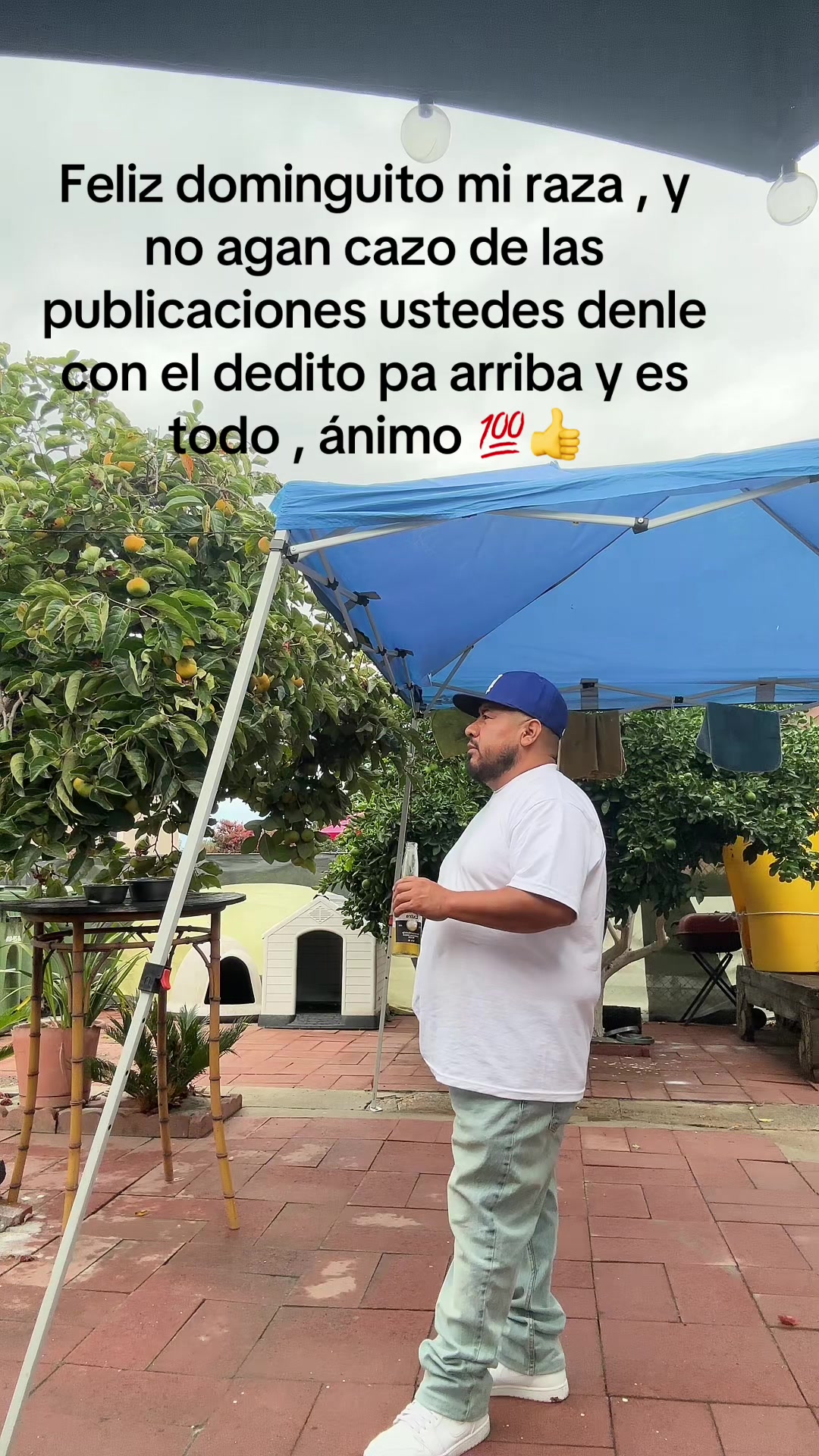 @_el24leo