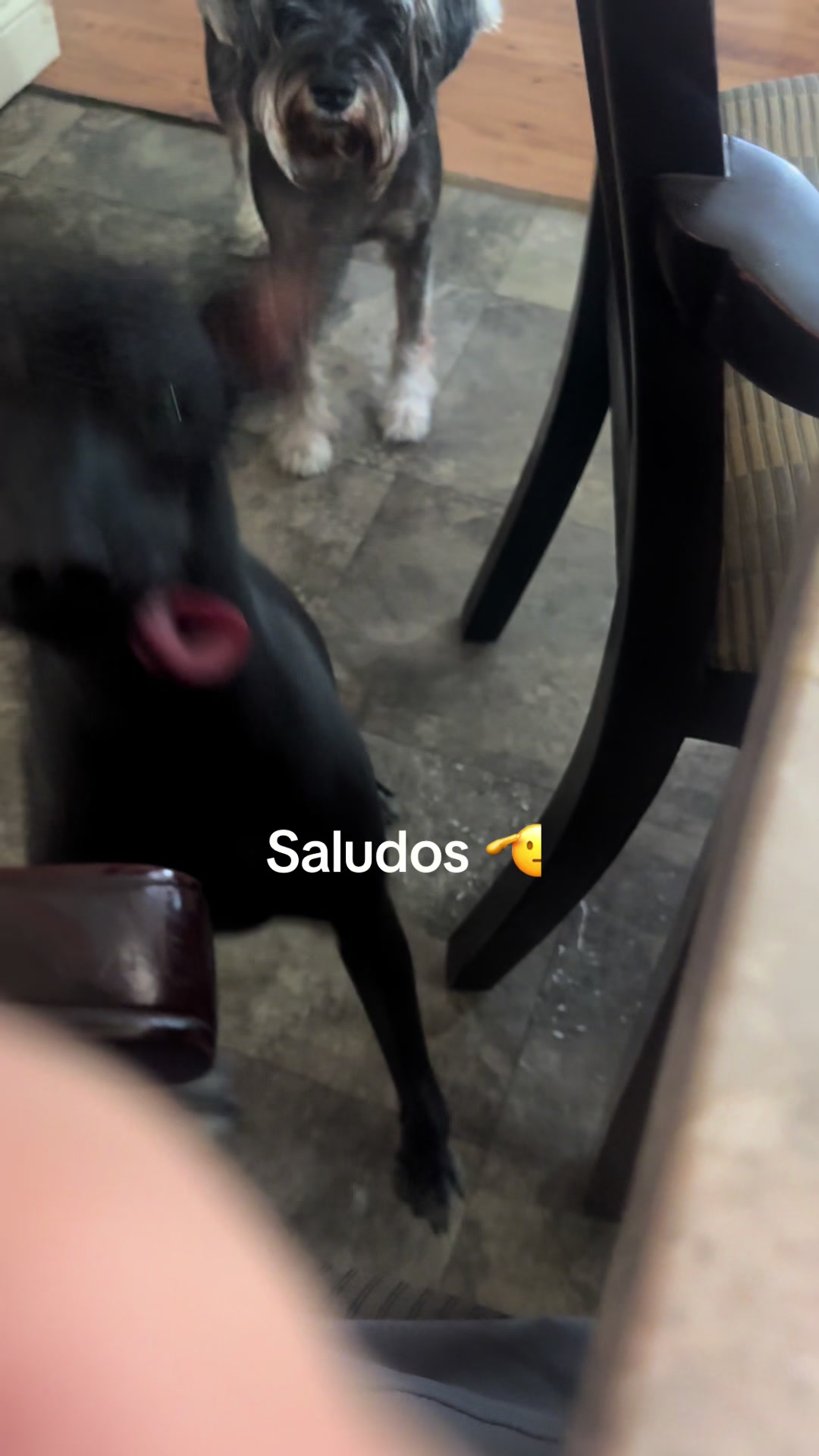 @Elcharitoopemex