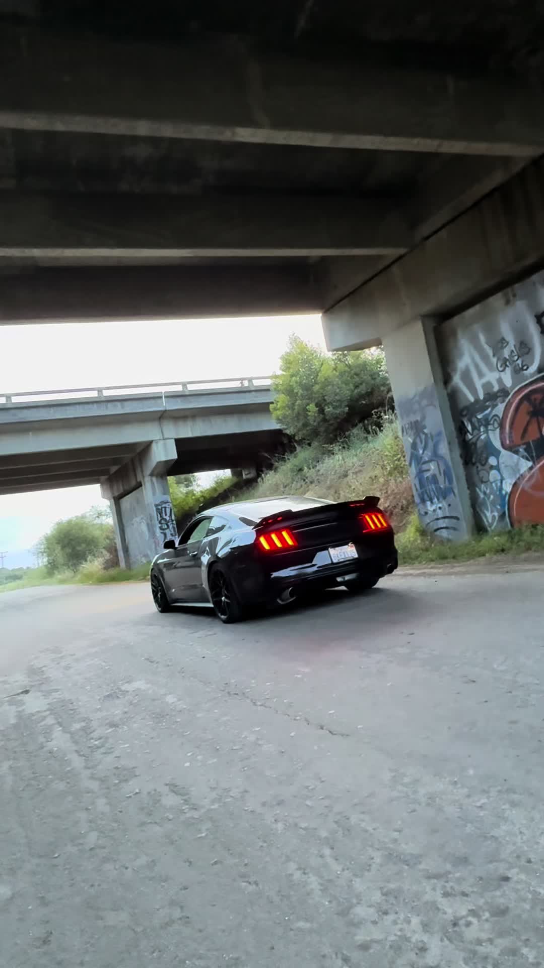 @5.0_alex_0