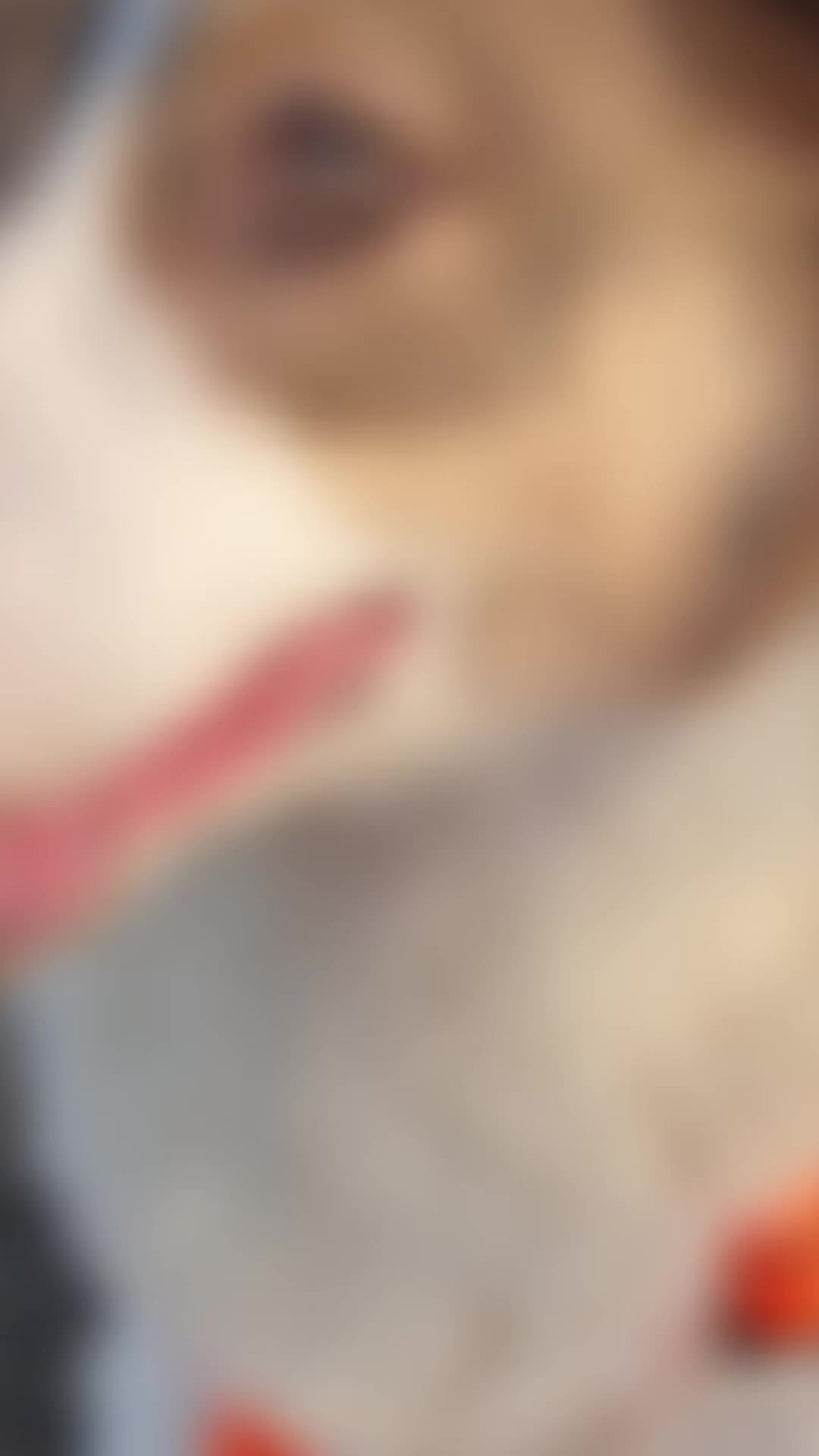 @PfotenwegeMitRoxy🐶
