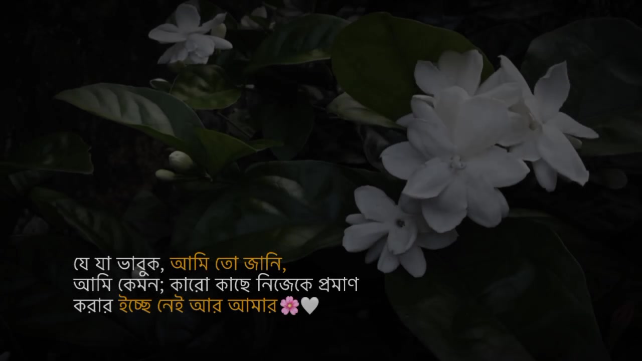 @💫<  j  >🚩